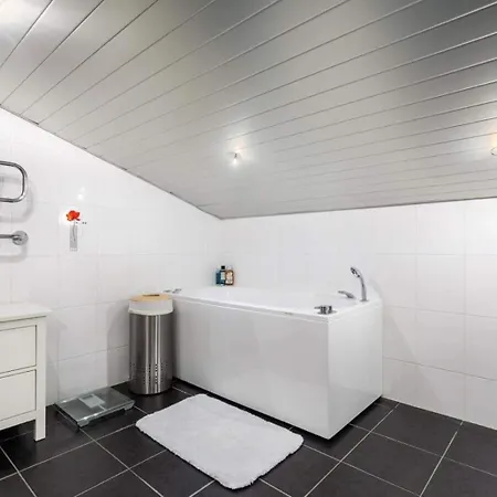 Lubja Saun Apartment *